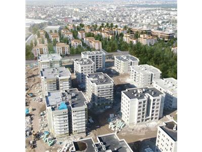 ras proje